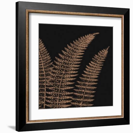 Fern II (on black)-null-Framed Art Print