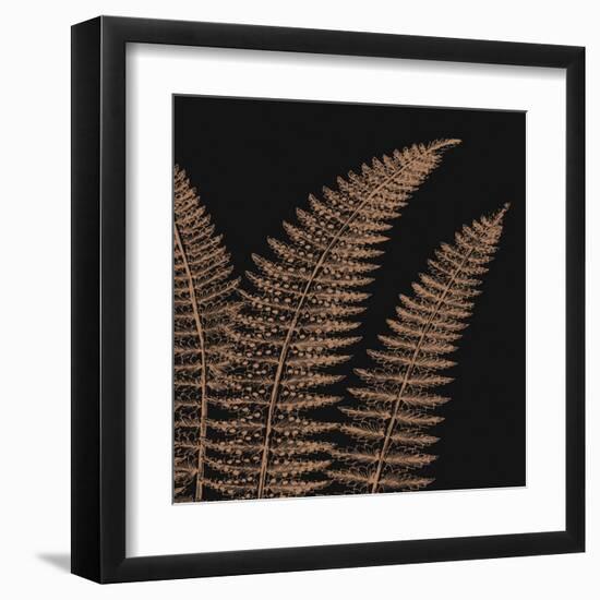 Fern II (on black)-null-Framed Art Print