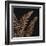 Fern II (on black)-null-Framed Art Print