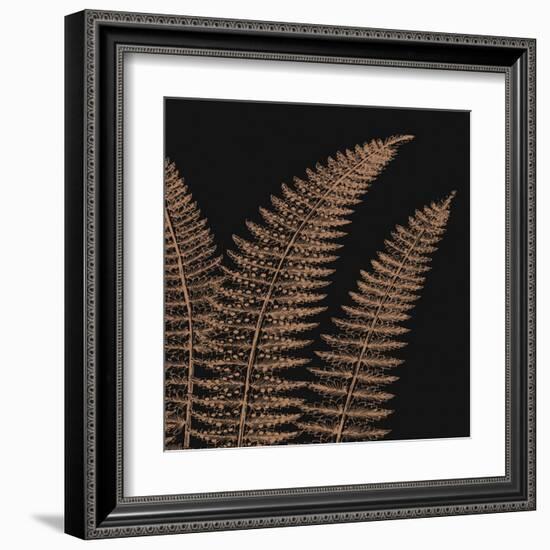 Fern II (on black)-null-Framed Art Print