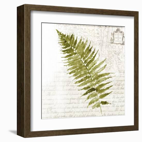 Fern II-Asia Jensen-Framed Art Print