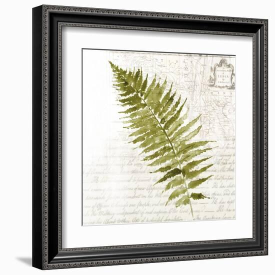 Fern II-Asia Jensen-Framed Art Print