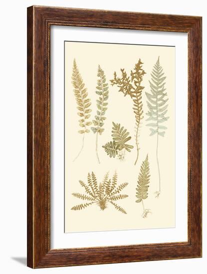 Fern Impressions I-Henry Bradbury-Framed Art Print