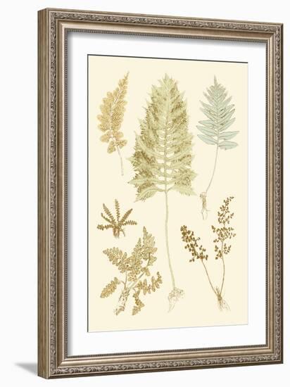 Fern Impressions II-Henry Bradbury-Framed Art Print