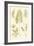 Fern Impressions II-Henry Bradbury-Framed Art Print