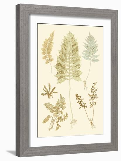 Fern Impressions II-Henry Bradbury-Framed Art Print