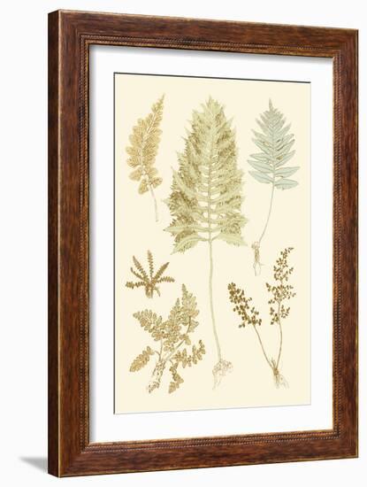 Fern Impressions II-Henry Bradbury-Framed Art Print