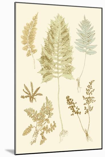 Fern Impressions II-Henry Bradbury-Mounted Art Print