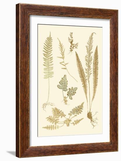 Fern Impressions III-Henry Bradbury-Framed Art Print