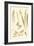 Fern Impressions III-Henry Bradbury-Framed Art Print