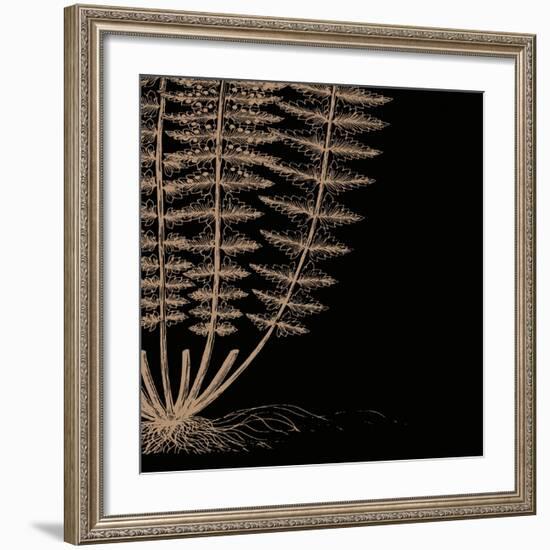 Fern IV (on black)-Botanical Series-Framed Art Print