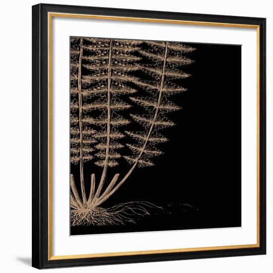 Fern IV (on black)-Botanical Series-Framed Art Print