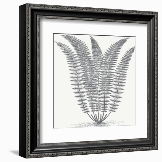 Fern (Ivory & Gray)-Botanical Series-Framed Art Print