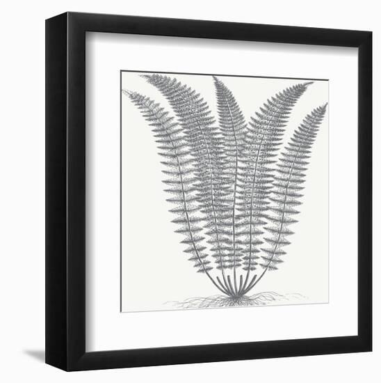 Fern (Ivory & Gray)-Botanical Series-Framed Art Print