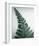 Fern Leaf I-Boyce Watt-Framed Giclee Print