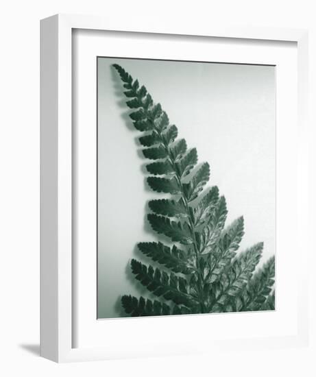 Fern Leaf I-Boyce Watt-Framed Giclee Print