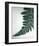 Fern Leaf II-Boyce Watt-Framed Giclee Print