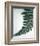 Fern Leaf II-Boyce Watt-Framed Giclee Print