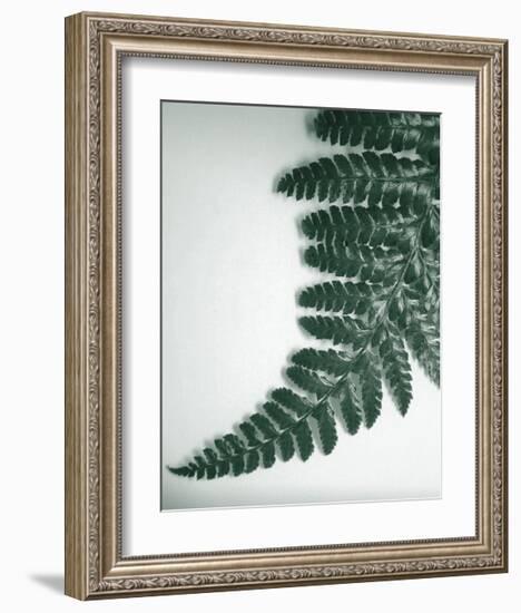 Fern Leaf II-Boyce Watt-Framed Giclee Print