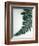 Fern Leaf II-Boyce Watt-Framed Giclee Print