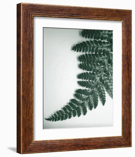 Fern Leaf II-Boyce Watt-Framed Giclee Print