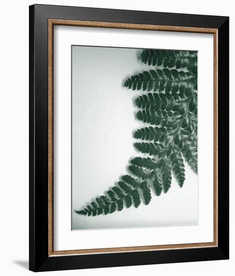 Fern Leaf II-Boyce Watt-Framed Giclee Print