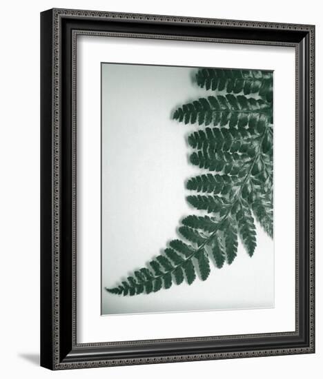 Fern Leaf II-Boyce Watt-Framed Giclee Print