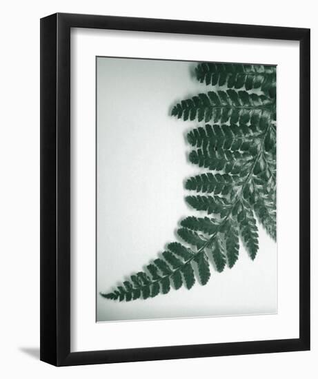 Fern Leaf II-Boyce Watt-Framed Giclee Print