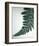 Fern Leaf II-Boyce Watt-Framed Giclee Print