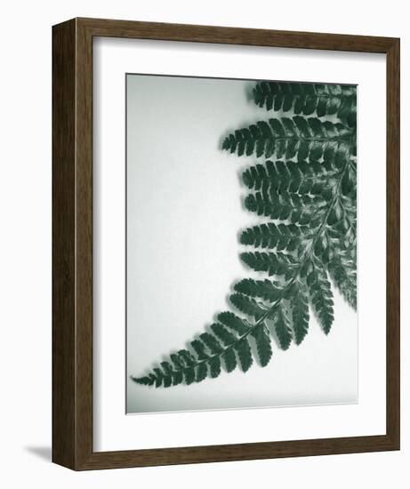 Fern Leaf II-Boyce Watt-Framed Giclee Print