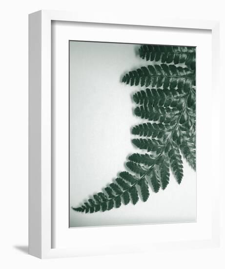 Fern Leaf II-Boyce Watt-Framed Giclee Print