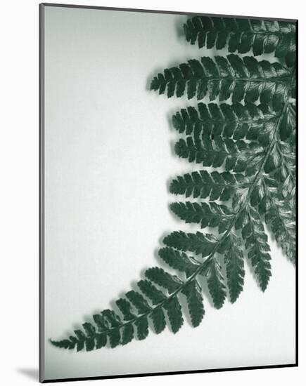 Fern Leaf II-Boyce Watt-Mounted Giclee Print