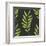 Fern Leaf on Dark Background-Maria Mirnaya-Framed Art Print