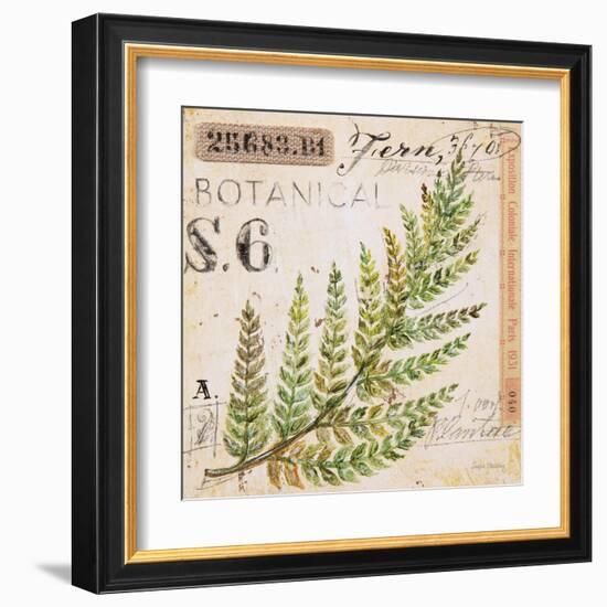 Fern Leaf…Sketchbook-Angela Staehling-Framed Art Print