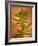 Fern Leaves-Robert Cattan-Framed Photographic Print