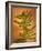 Fern Leaves-Robert Cattan-Framed Photographic Print