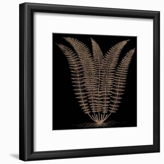 Fern (on black)-Botanical Series-Framed Giclee Print