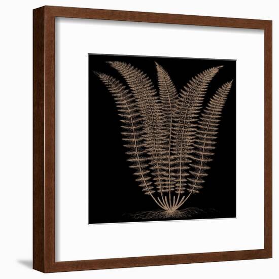 Fern (on black)-Botanical Series-Framed Giclee Print