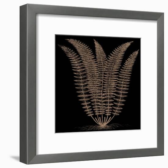 Fern (on black)-Botanical Series-Framed Giclee Print