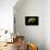 Fern on Black-Larry Malvin-Mounted Photographic Print displayed on a wall