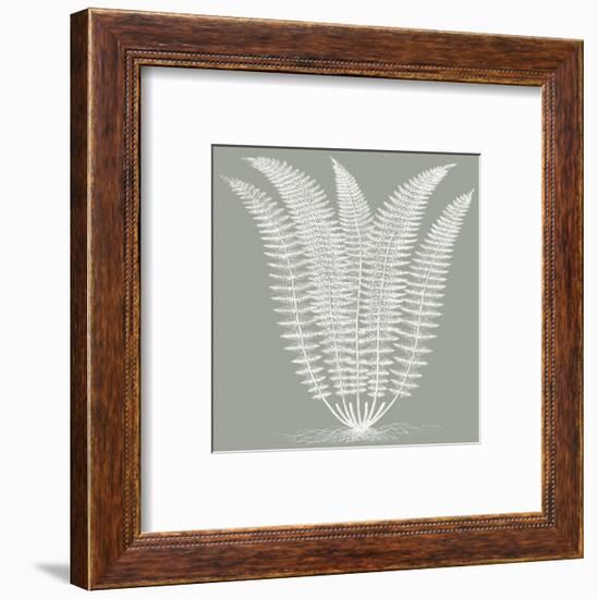 Fern (Sage & Ivory)-Botanical Series-Framed Art Print