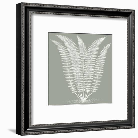 Fern (Sage & Ivory)-Botanical Series-Framed Art Print