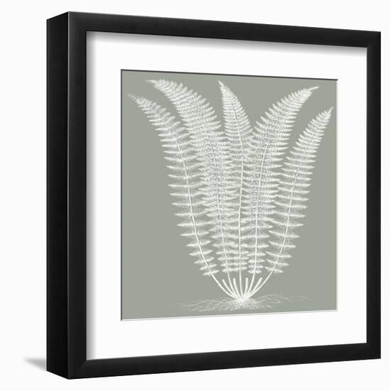 Fern (Sage & Ivory)-Botanical Series-Framed Art Print