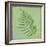 Fern Series Vintage I-Cora Niele-Framed Giclee Print