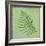 Fern Series Vintage I-Cora Niele-Framed Giclee Print