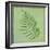 Fern Series Vintage I-Cora Niele-Framed Giclee Print