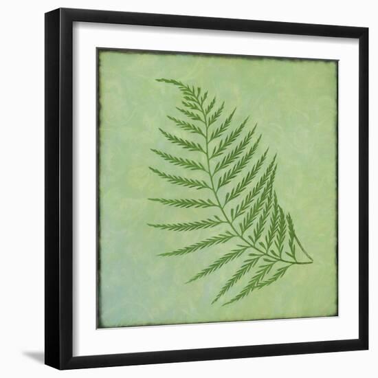 Fern Series Vintage I-Cora Niele-Framed Giclee Print