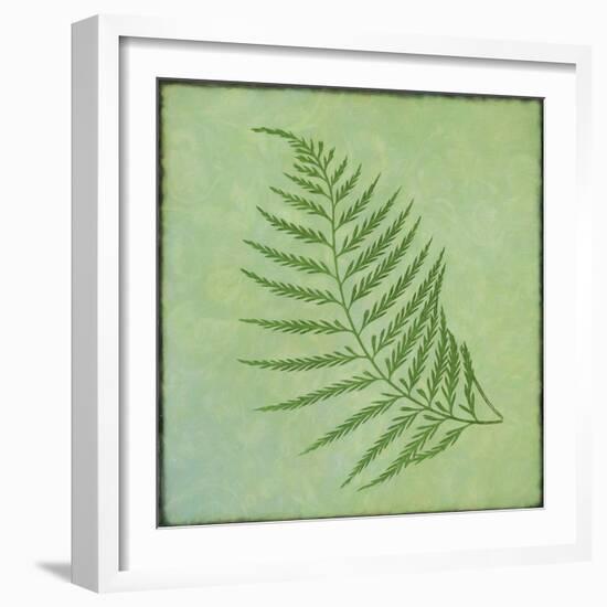 Fern Series Vintage I-Cora Niele-Framed Giclee Print