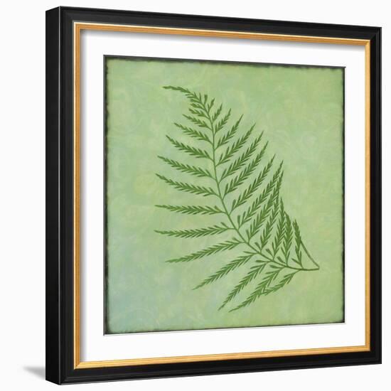 Fern Series Vintage I-Cora Niele-Framed Giclee Print