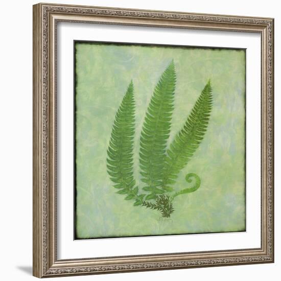 Fern Series Vintage II-Cora Niele-Framed Giclee Print